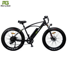 PAS Integrated Electric Fat Mountain Bike/ Big Power Electric Bicycle